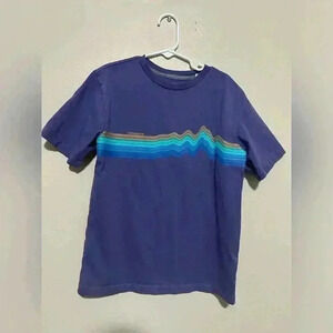 Patagonia Regenerative Organic Cotton T-Shirt - Ridge Rise Stripe - Size Small